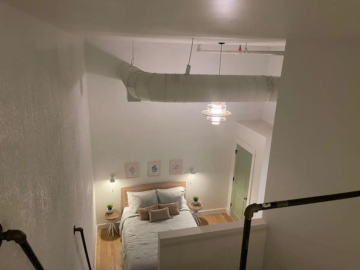 Lou-City Penthouse Suite! Savor Life With Hollyhock Louisville